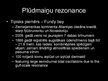 Prezentācija 'Plūdmaiņas, to cēloņi un īpašības Fandī līcī', 11.