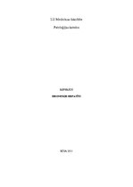 Konspekts 'Hroniskie hepatīti', 1.