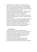 Referāts 'Renesanse un humānisms', 4.