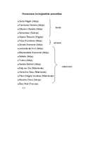 Referāts 'Renesanse un humānisms', 5.