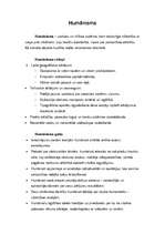 Referāts 'Renesanse un humānisms', 6.