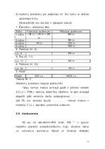 Biznesa plāns 'SIA "X"', 11.