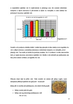 Referāts 'Gaisa piesārņojums', 18.
