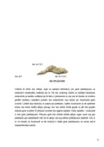 Referāts 'Gaisa piesārņojums', 21.