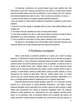 Referāts 'Administratīva rajona tiesa', 10.