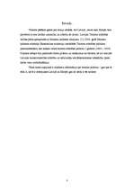 Referāts 'Tūrisma politika', 3.