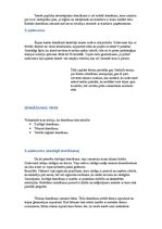 Referāts 'Pašizpētes un pašnovērtējuma darbs personības psiholoģijā', 6.