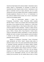 Referāts 'Krājumu inventarizācija kā uzņēmuma iekšējās kontroles sastāvdaļa', 7.