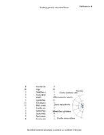 Diplomdarbs 'Meža mašīnu operatoru kompetenču paaugstināšanas iespējas Latvijā', 146.