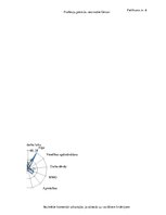 Diplomdarbs 'Meža mašīnu operatoru kompetenču paaugstināšanas iespējas Latvijā', 154.