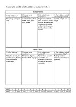 Paraugs 'Leksikas slāņi', 2.