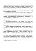 Eseja 'Birkenbauma tēls Rūdolfa Blaumaņa novelē "Nāves ēnā"', 2.