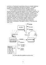 Referāts 'Apkārtējās vides ietekme uz cilvēka veselību', 4.