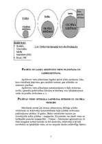 Referāts 'Apkārtējās vides ietekme uz cilvēka veselību', 7.