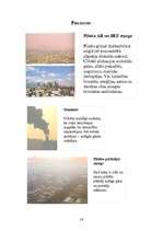 Referāts 'Apkārtējās vides ietekme uz cilvēka veselību', 14.