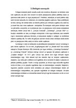 Referāts 'Monopols un tā veidi', 6.