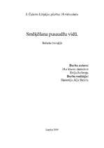 Referāts 'Smēķēšana pusaudžu vidū', 1.