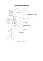 Referāts 'Smēķēšana pusaudžu vidū', 17.