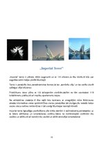 Konspekts '"Adrian Smith & Gordon Gill" arhitektu birojs', 15.