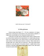 Referāts 'Zelta griezums dabā un Bauskas apkārtnes arhitektūrā', 5.