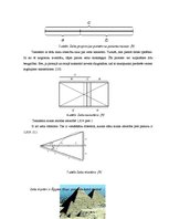 Referāts 'Zelta griezums dabā un Bauskas apkārtnes arhitektūrā', 8.