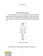 Referāts 'Zelta griezums dabā un Bauskas apkārtnes arhitektūrā', 30.