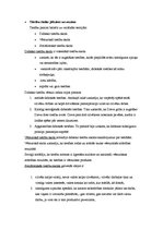 Konspekts 'Tiesību teorija un tiesību skolas', 2.