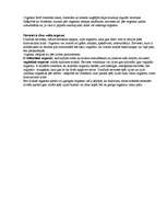 Referāts 'Sekss un seksa vēsture', 11.