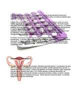 Referāts 'Sekss un seksa vēsture', 13.