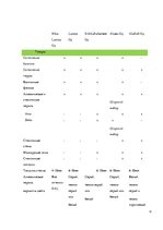 Prakses atskaite 'Отчет по организационному этапу практики', 18.