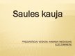 Prezentācija 'Saules kauja', 1.