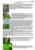 Paraugs 'Darba aizsardzības instrukcija darbam mērniecības objektā', 6.