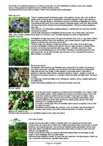 Paraugs 'Darba aizsardzības instrukcija darbam mērniecības objektā', 7.