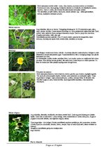 Paraugs 'Darba aizsardzības instrukcija darbam mērniecības objektā', 9.