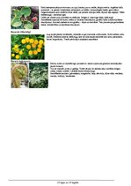 Paraugs 'Darba aizsardzības instrukcija darbam mērniecības objektā', 10.