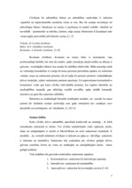 Konspekts 'Saziņas struktūras izpratne', 1.