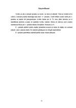 Referāts 'E - paraksta ieviešanas priekšrocības un trūkumi', 21.