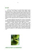 Referāts 'Āboli', 1.