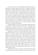 Referāts 'Korsete - palīglīdzeklis idioptiskās skoliozes ārstēšanai pusaudžu vecumā', 11.