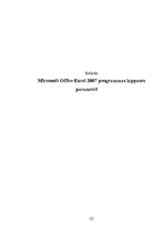 Konspekts 'Microsoft Office Excel 2007 programmas lappuses parametri', 1.
