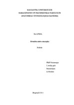 Konspekts 'Hroniska nieru mazspēja', 1.