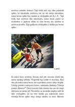 Referāts 'Berzes spēki sadzīvē', 3.