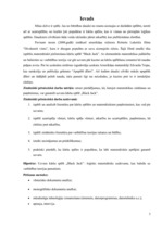 Referāts 'Kāršu spēles "21" teorija', 3.