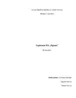 Biznesa plāns 'Uzņēmums SIA "Signuss"', 1.