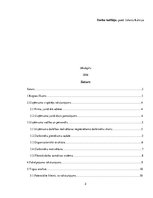 Biznesa plāns 'Uzņēmums SIA "Signuss"', 2.