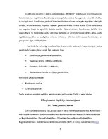 Biznesa plāns 'Uzņēmums SIA "Signuss"', 4.