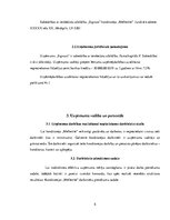 Biznesa plāns 'Uzņēmums SIA "Signuss"', 5.