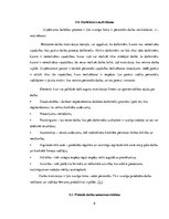 Biznesa plāns 'Uzņēmums SIA "Signuss"', 8.