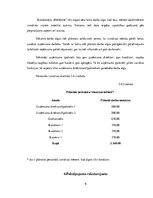 Biznesa plāns 'Uzņēmums SIA "Signuss"', 9.