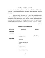 Biznesa plāns 'Uzņēmums SIA "Signuss"', 12.